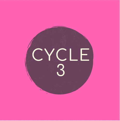 CYCLE 3